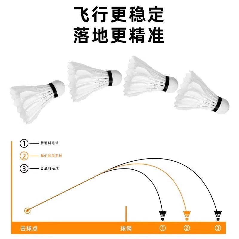 Lion Badminton Shuttlecock Goo - Feather Shuttlecock 评论和价格