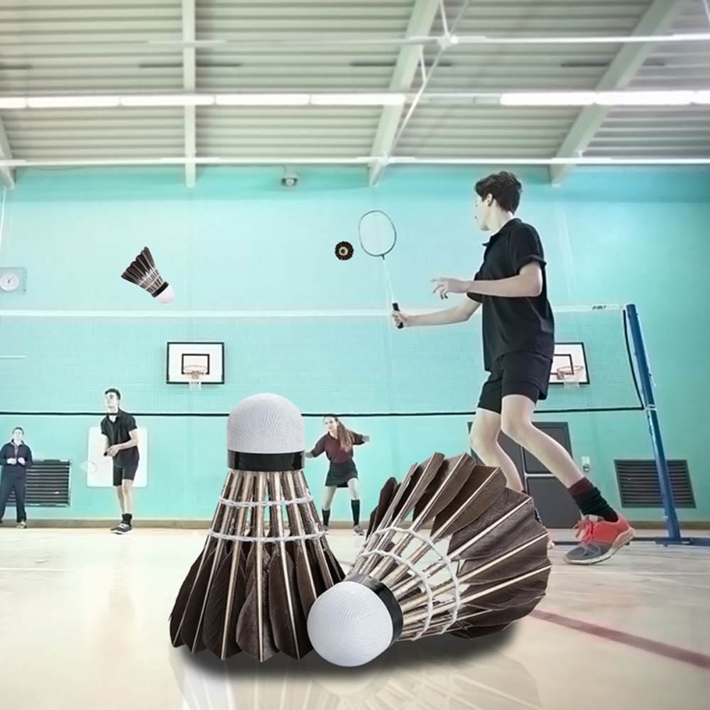 3/6/12Pcs Household Sport Trai - Feather Shuttlecock 评论和价格