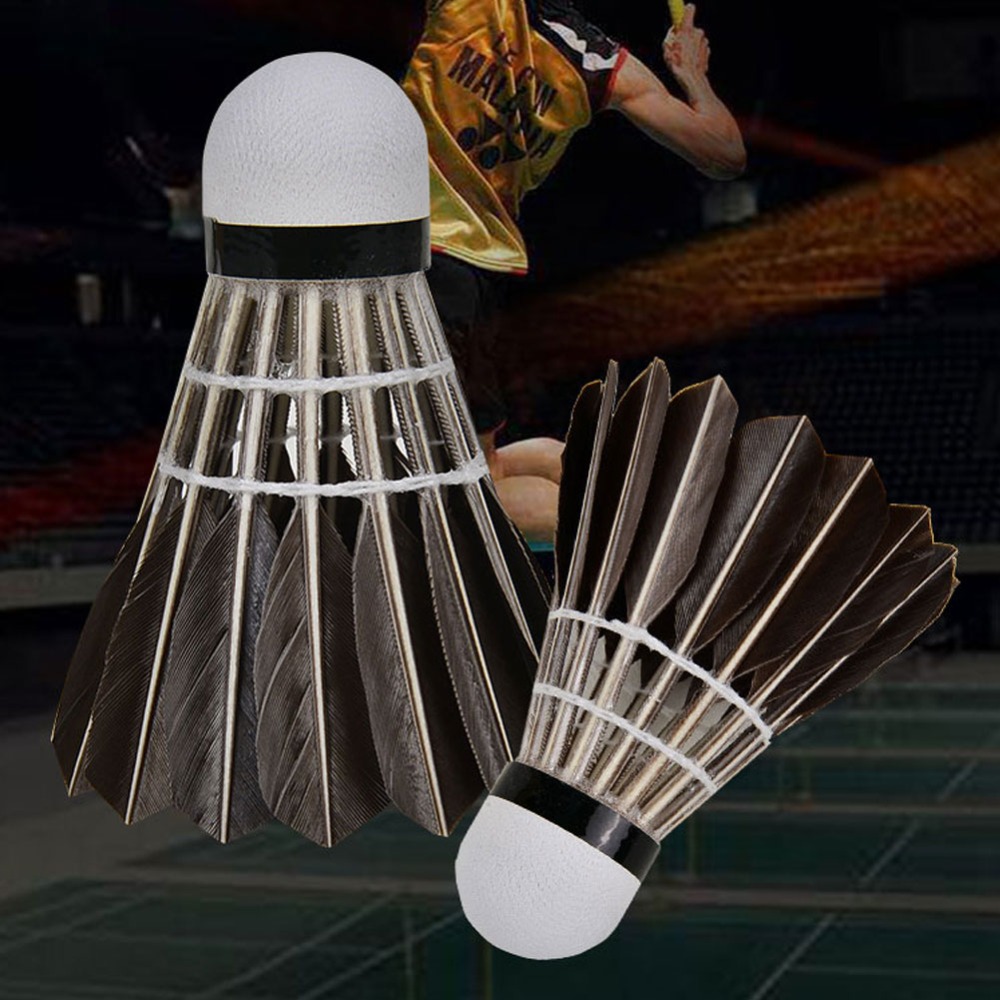 3/6/12Pcs Household Sport Trai - Feather Shuttlecock 评论和价格