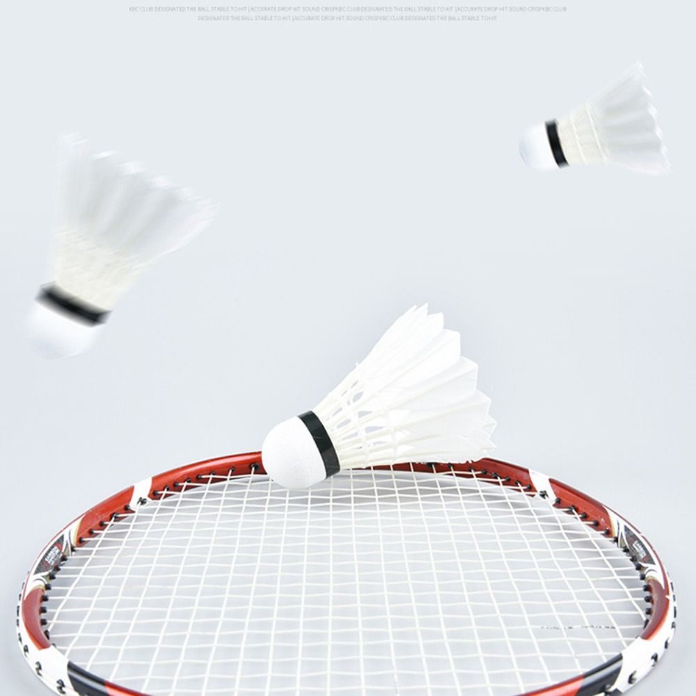 3/6/12Pcs New White Badminton  - Feather Shuttlecock 评论和价格