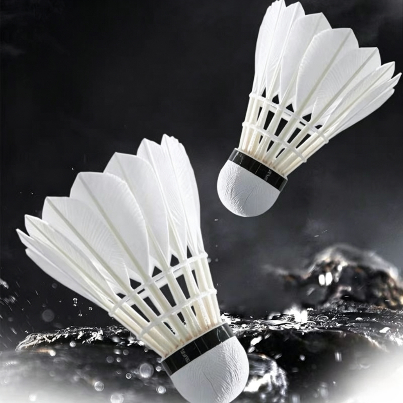 Premium Goose Feather Badminto - Feather Shuttlecock 评论和价格