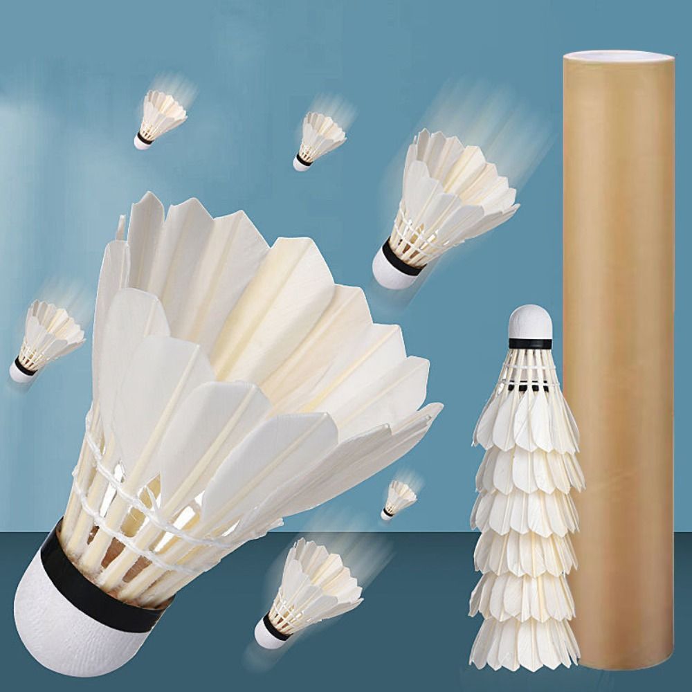 3/6/12Pcs New White Badminton  - Feather Shuttlecock 评论和价格